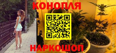 прущие грибы Камышлов