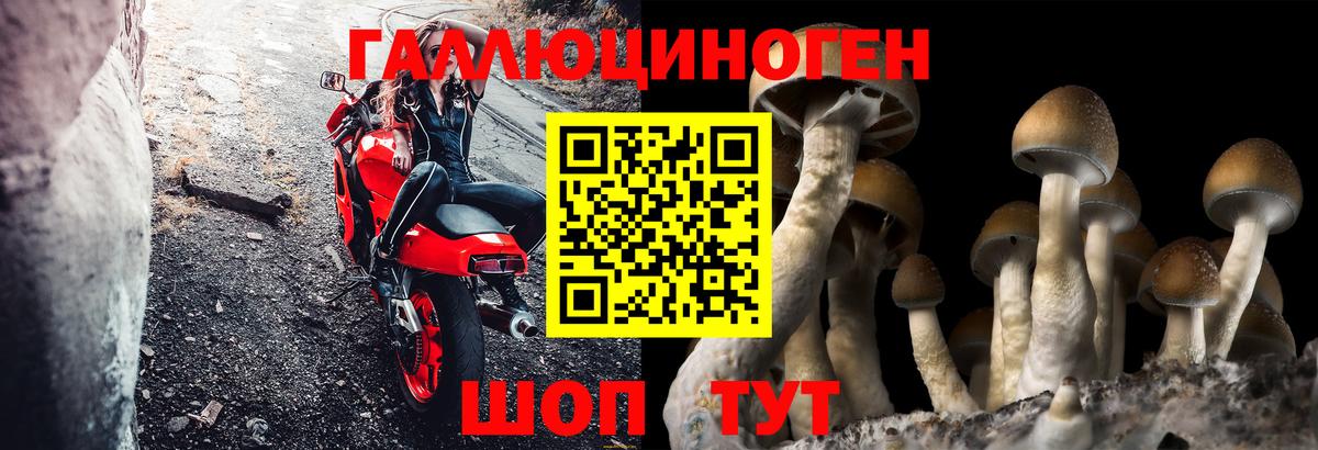 Галлюциногенные грибы прущие грибы Кохма