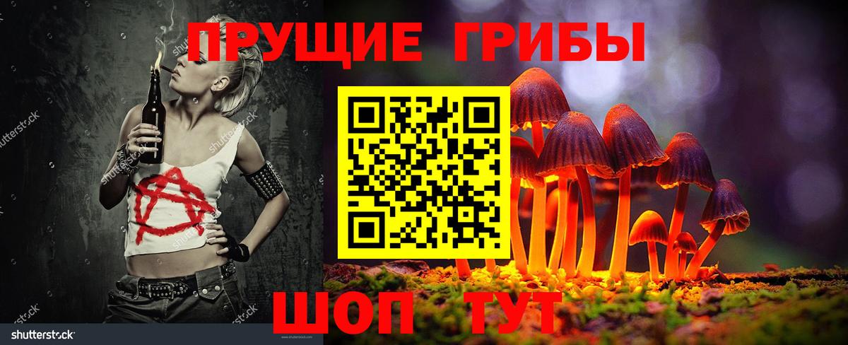 Кохма  Псилоцибиновые грибы MAGIC MUSHROOMS  Псилоцибиновые грибы мухоморы  Вход с VPN 