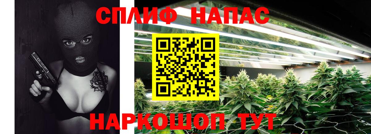 Шишки марихуана OG Kush Кохма